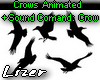 Crows Animated + Sound