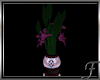 (F) Flower Pot