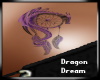 RH/Dragon DreamCatcher