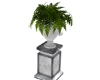 Pedestal Plant 01