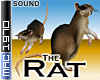 Rat Furniture (sound)