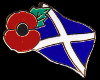male/scotish poppy badge