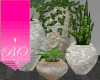 B| Plant Grouping