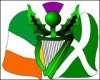 Celtic Harp