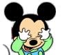Twin Mickey & Minnie roo