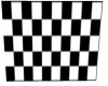 Checkered Flag Rug..
