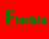 Florida Tee Fem
