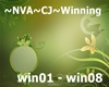 ~NVA~CJ~Winning