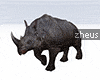 !Zheus Rhino Furni