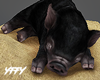 Piggy