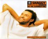 Shaggy - In the Summer
