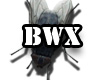 [BWX] FLY #1