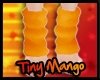 -TM- Orange Leg Warmers