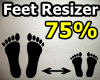 75% FOOT SCALER