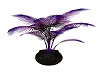 dk purple plant