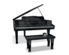 Rose Piano w Dalmation