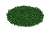 Green Grass Rug