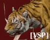[VSP] Tiger Pet