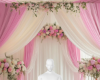 Pink backdrop bg