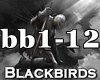 ♫K♫ BlackBirds