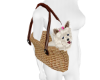 cute dog in bag