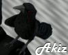 ]Akiz[ The Crow
