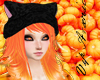 Pumpkin Yinn