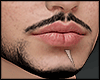 s. Asteri Beard Ngw