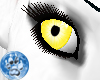 [S]DkPtel Yellow Eye {F}