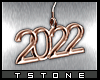 T.2022 Earrings