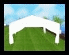 Minimalist Tent 