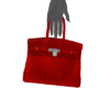 👽 Red Purse -R