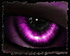 [ZX]Weep Violet