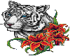 White tiger and flowers