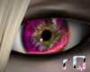 rQ Hybrid Eyes~Pink -F