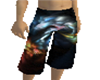 Mens Beach shorts