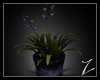 Z | Flowerpot  Violett