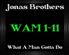 JonasBrothers~WhatAManGo