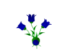 Antiq-Tulip-Fxtre-BLUE