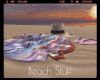 *Beach Stuff