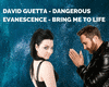 David GUETTA/Evanescence