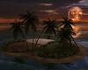 Romantic Night Beach