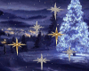 2014 Christmas Stars/ani