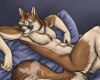 [BOO] Blue Wolf Bed