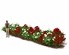 Red+White Rose Flowerbed