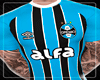 Gremio 2025
