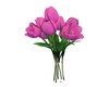 Pink  Tulips   (N)