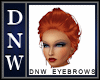 DNW Thin Eyebrows