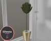 ID: Koral room plant