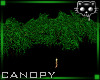 Canopy Leaf  1 Ⓚ
